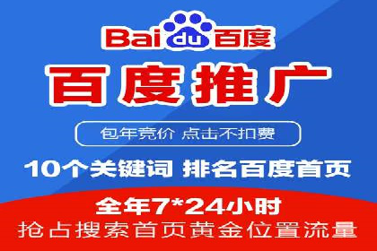 百度竞价推广在电商领域的赚钱案例